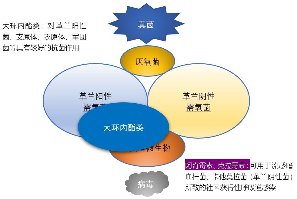 抗菌产品的现代应用与未来发展