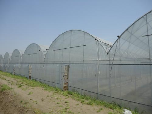 蚌埠市甲鱼大棚拆迁补偿研究