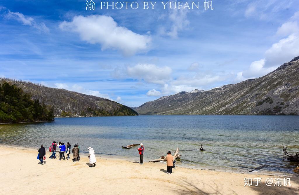 黄金海岸的小说世界，探索与发现