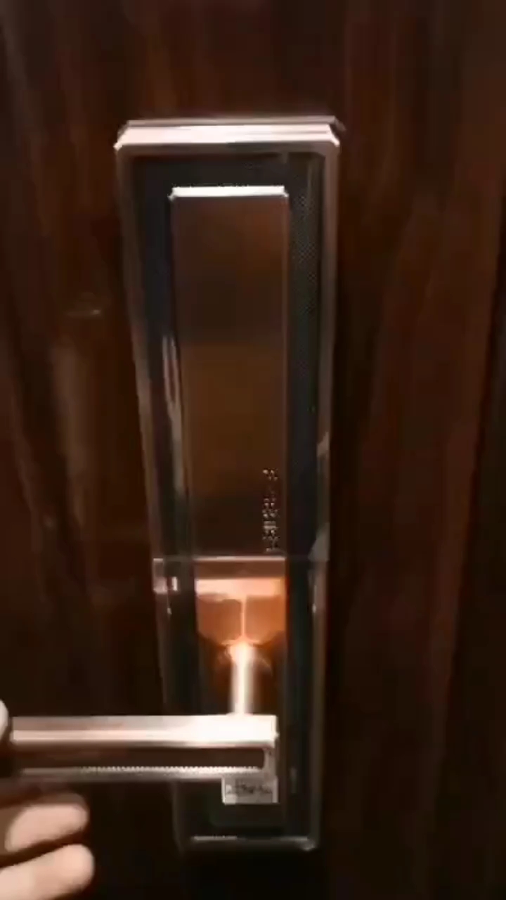 双门玻璃门指纹密码锁，现代家居安全与便利的完美结合