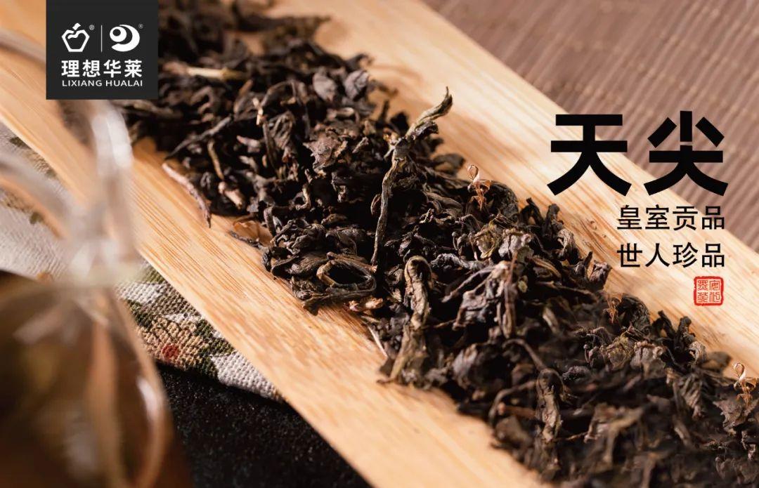 蔬菜做饮料，绿色健康的饮品新选择