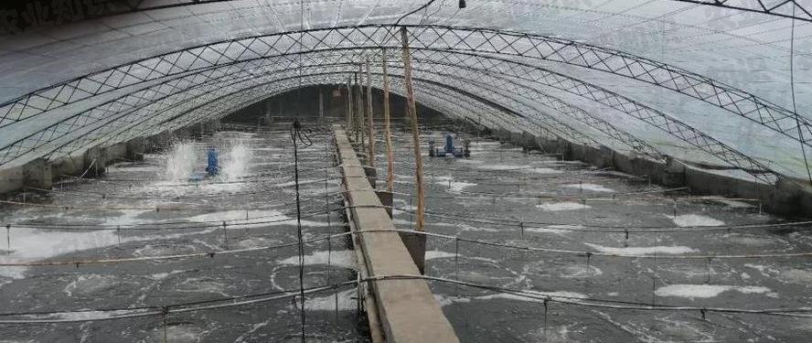 水产养殖大棚一亩多少钱——探究水产养殖大棚成本与效益