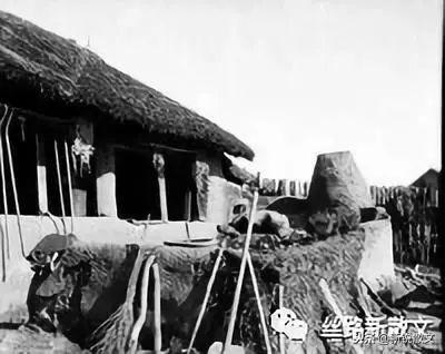 台湾荣民待遇如何，全面解析与反思
