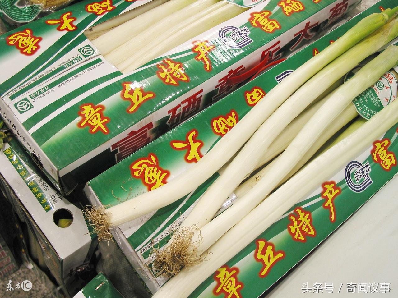 蔬菜行业商标图案大全，探索与启示