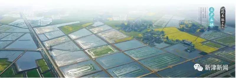 大棚养殖小龙虾，图片大全与深度解析