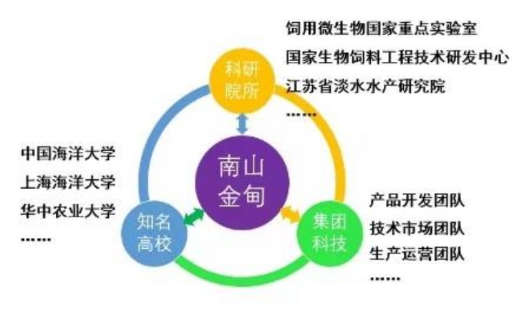 大棚海参养殖中的肠道调理，关键要素与实践策略