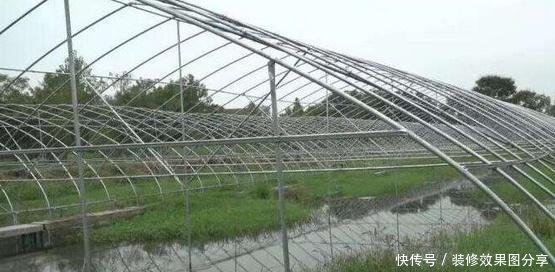 大棚养殖小龙虾的产量研究