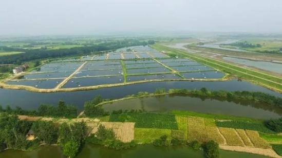 湖北小龙虾大棚，探索生态养殖与产业发展的融合之路