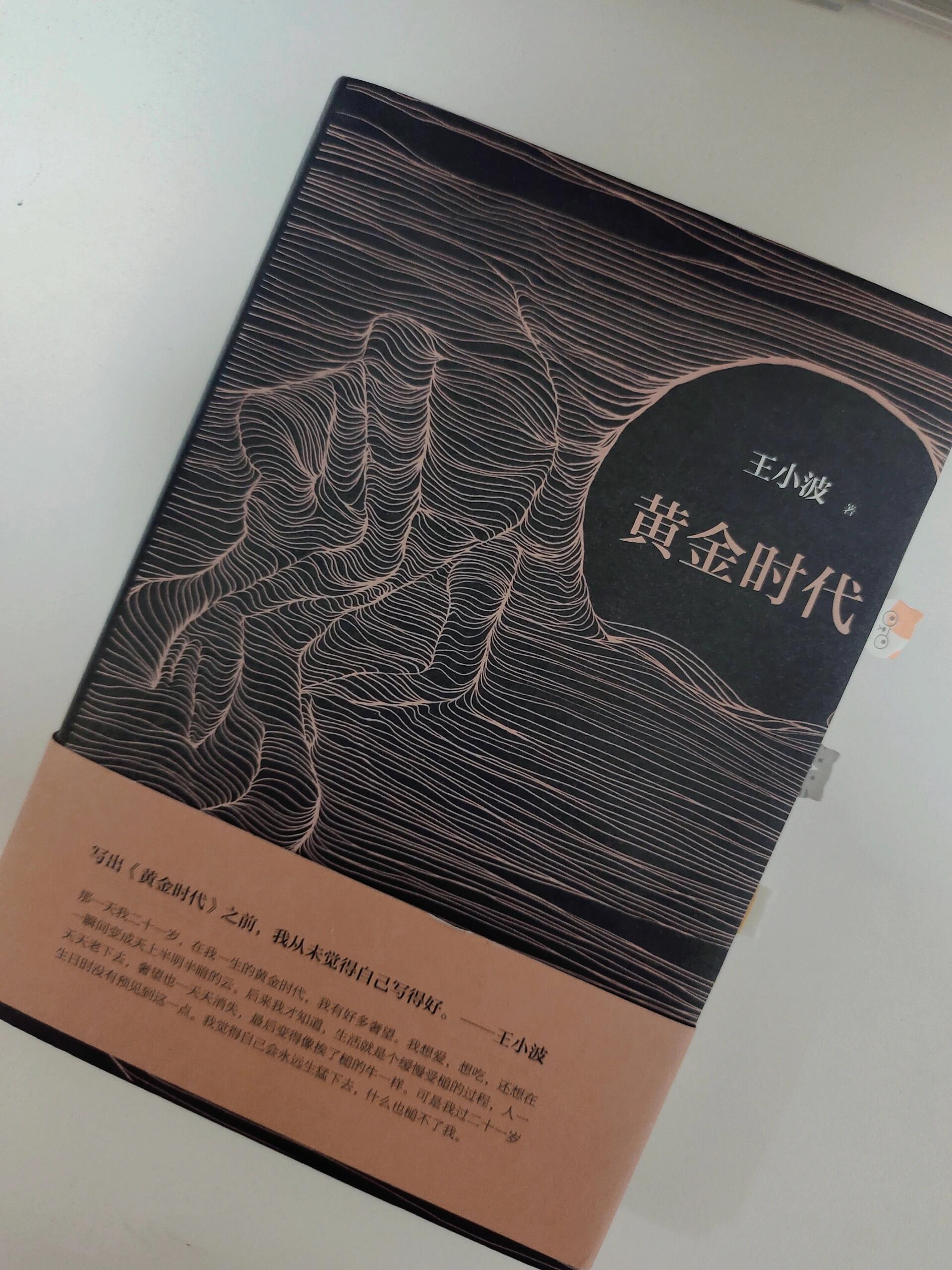 黄金时代免费阅读，探索文学宝藏的无价之宝