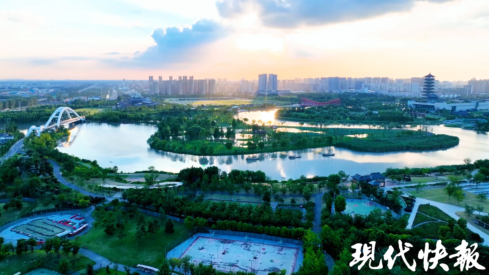 深圳市绿化品种，多样性与城市生态的和谐共生