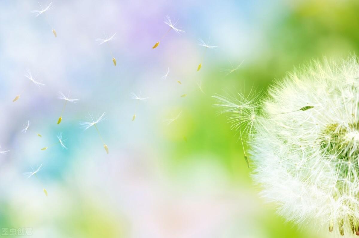 推荐一本锻炼口才的书——口才的艺术，从沟通到说服