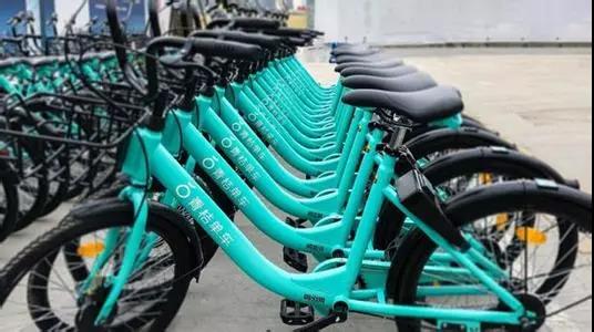 自行车零件拆解图，深入了解自行车的构造与原理