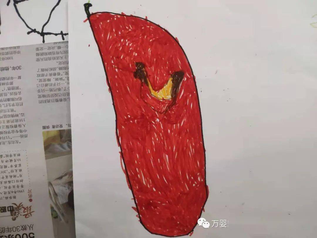 小班美术课程，探索与创作一串红