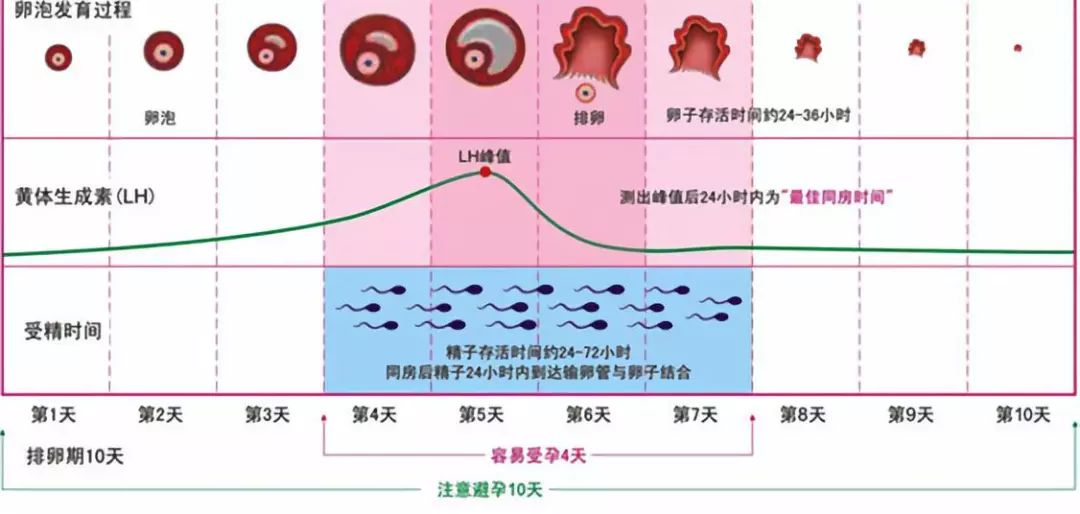 取卵容易腹水，深入了解与应对策略