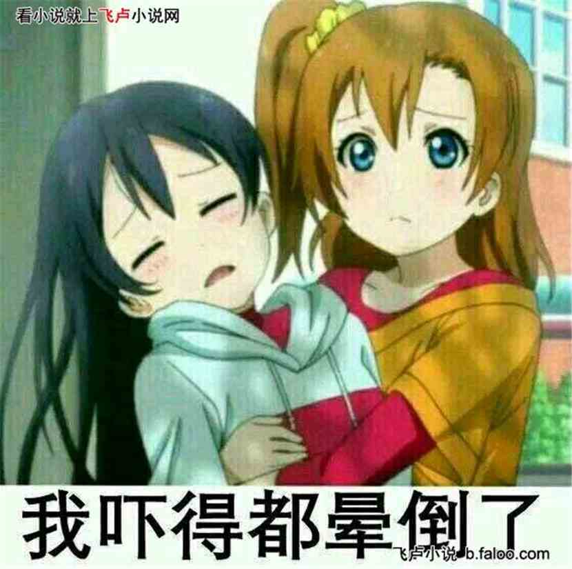 高坂穗乃果表情包，魅力四溢的二次元表情文化新宠
