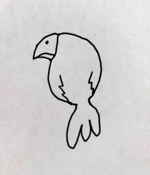 中班美术教案，小鸡和小鸭的绘画之旅