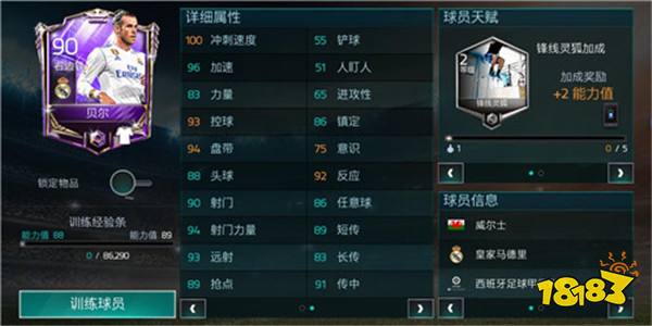 Navi现在阵容，重塑传奇的力量