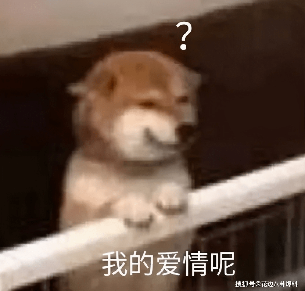 尸体派对表情包，网络文化的新宠