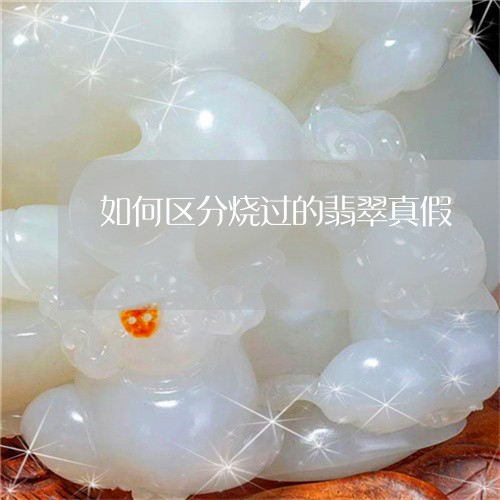 海昌真假，探寻真相与误解的交织