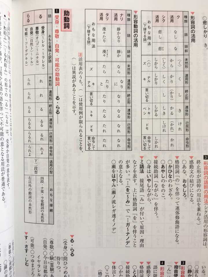 日语学练测一本通，孔夫子的智慧引领语言学习新境界