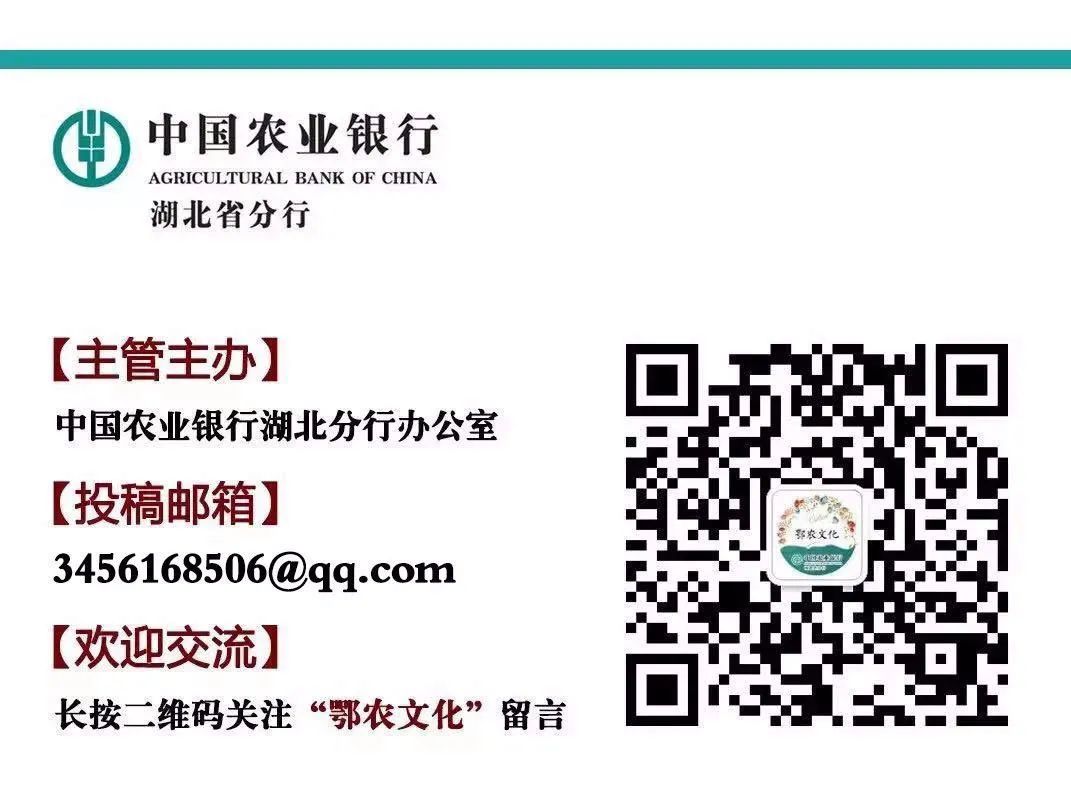 农行现金分期与发票，数字化时代的金融服务革新