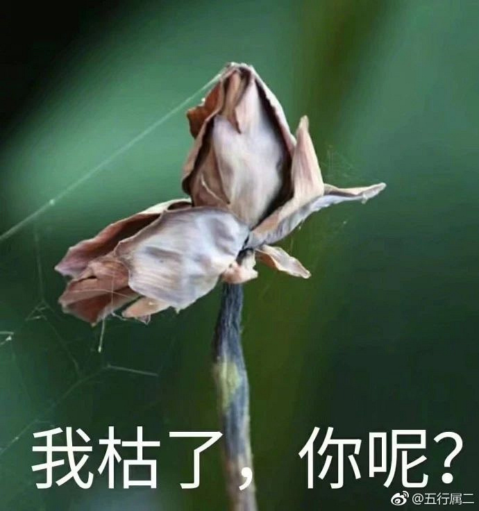 倒地铃表情包，一种全新的网络文化现象
