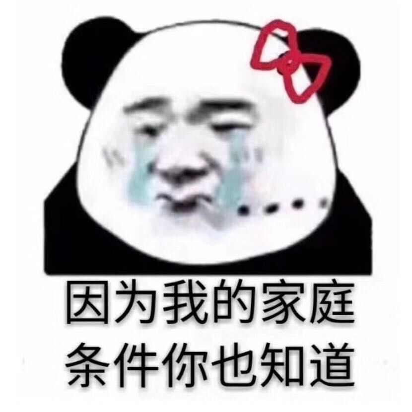 千代全身表情包，网络新宠的魅力与影响