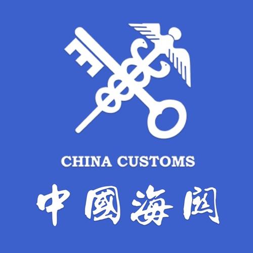 过海关图标，象征意义与实际应用