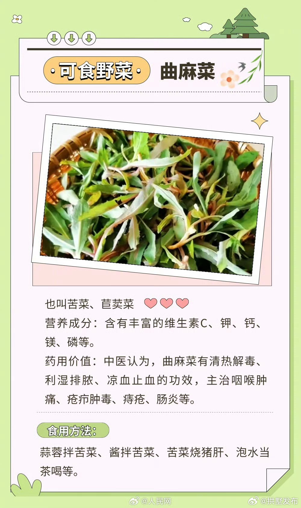 野菜一本通，解锁野菜的奥秘与魅力