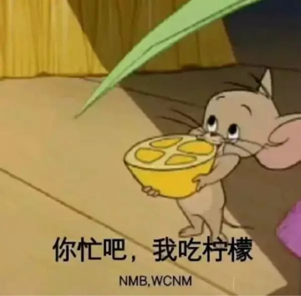 后入卡通表情包，一种新兴文化现象的探索
