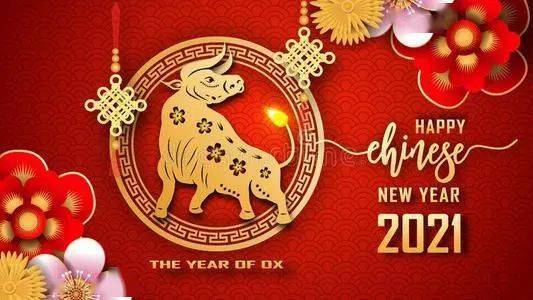 牛年运势揭秘，一本运程书带你探寻未来之路