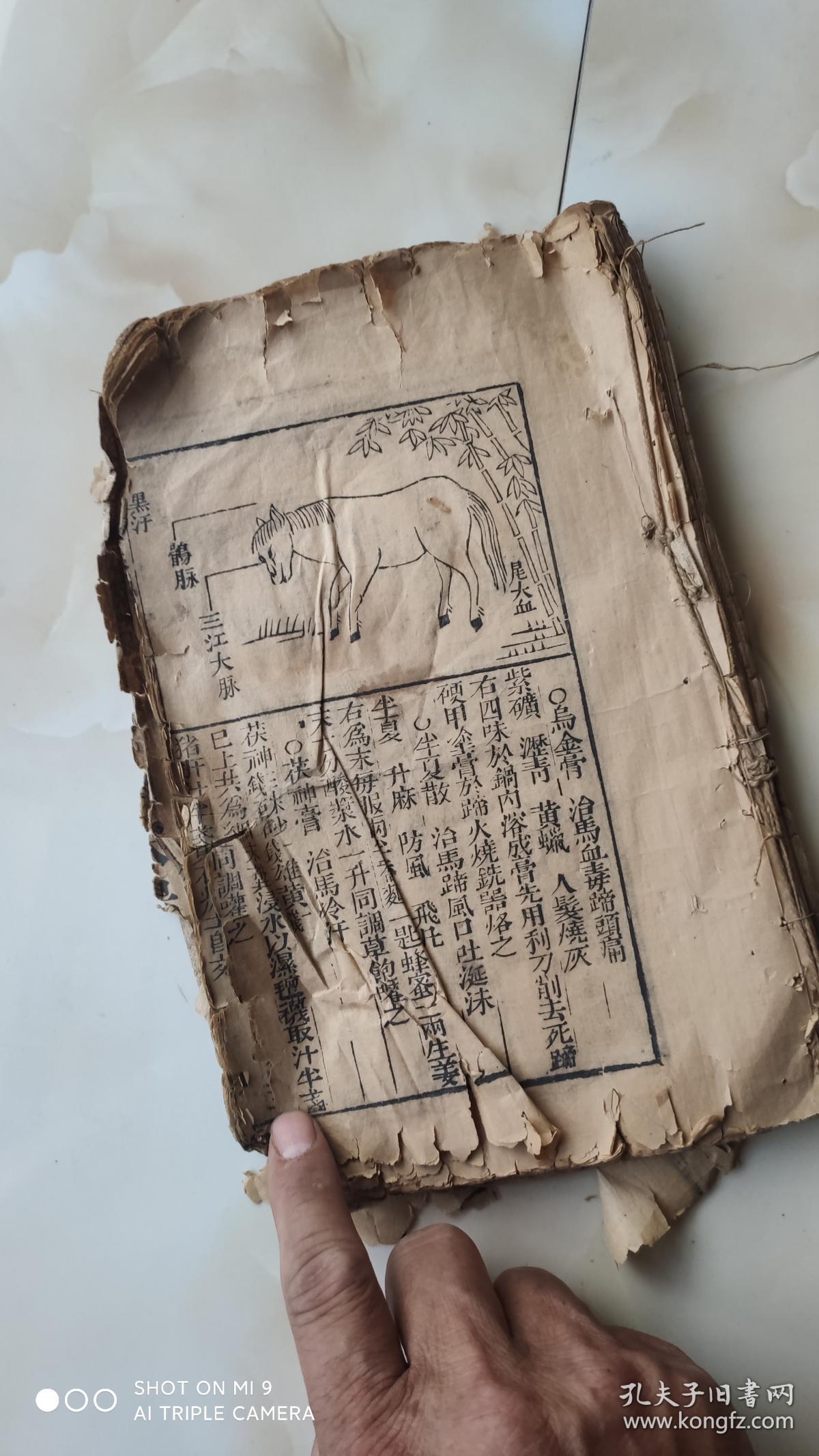 我要买一本牛马经书