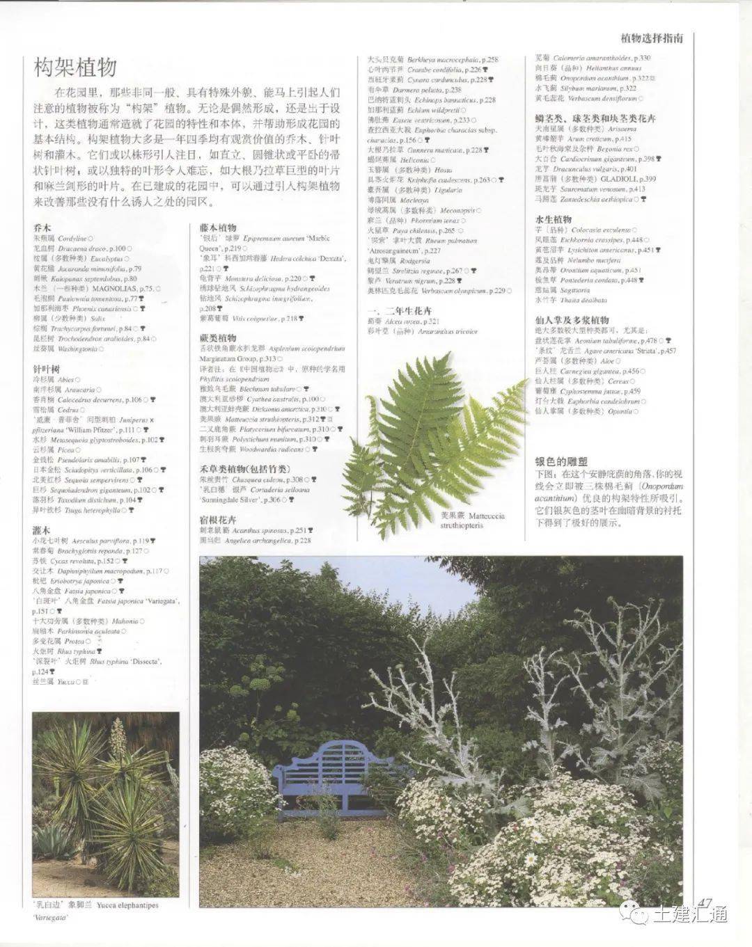 园林苗木品种书籍，探索绿色世界的指南