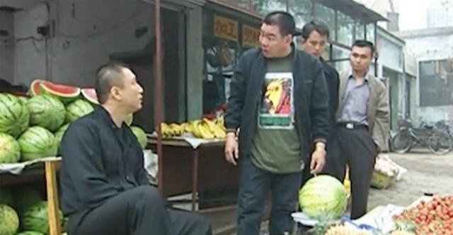 景观植物品种，丰富多样性与城市美化之源